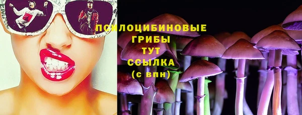тгк Кодинск