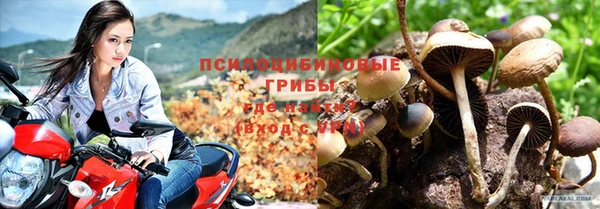 соль ск Касимов