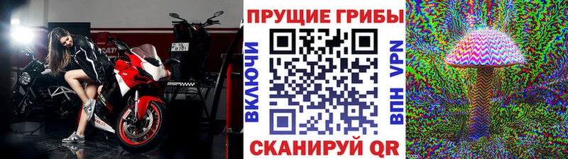 Псилоцибиновые грибы Magic Shrooms Армянск