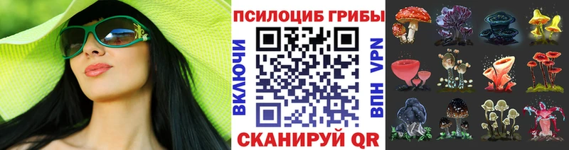 Псилоцибиновые грибы мухоморы  Купить закладки  Армянск 
